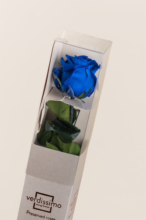 Amorosa Standard-Geschenkbox - Pack 20 u.