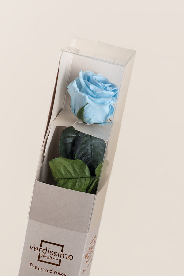 Caja de Regalo Estándar Amorosa - Pack 20 uds.