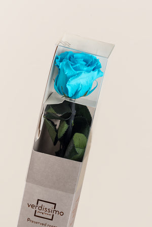 Turquoise vif