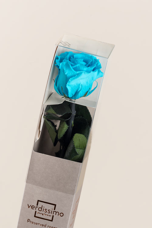 Amorosa Standard-Geschenkbox - Pack 20 u.
