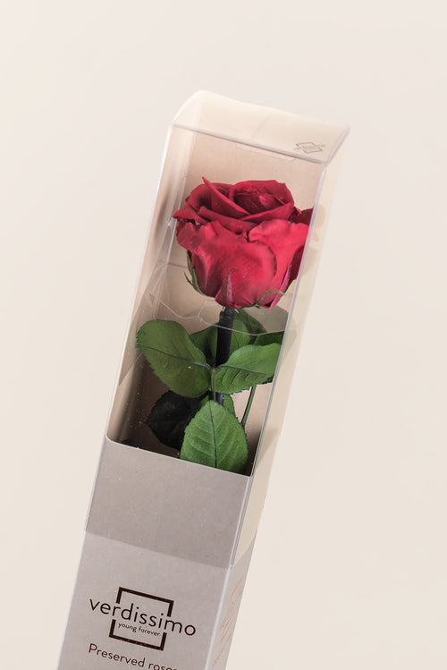 Amorosa Standard Gift Box - Pack 20 u.