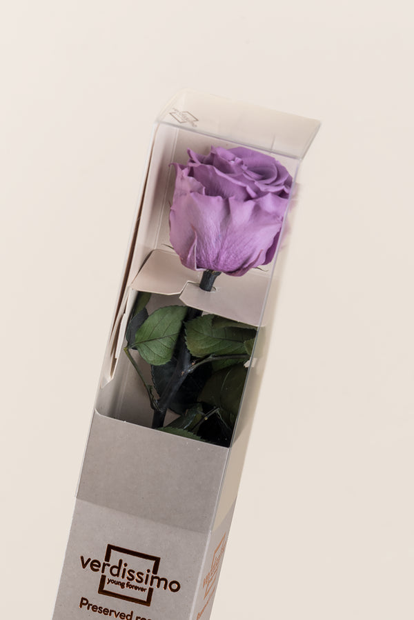 Caja de Regalo Estándar Amorosa - Pack 20 uds.