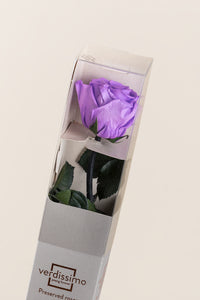 Bright Lilac
