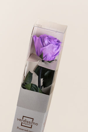 Lilas clair