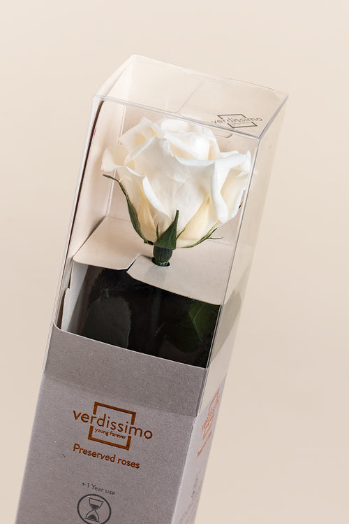 Amorosa Mini Gift Box - Pack 25 u.