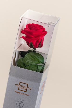 Amorosa Mini Gift Box - Pack 25 u.