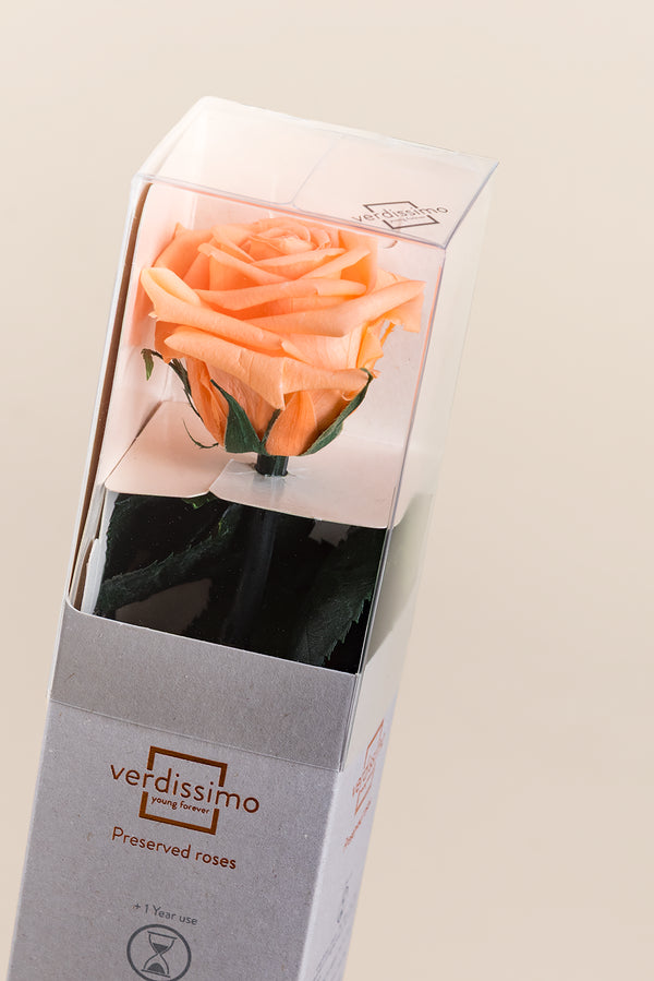 Caja de regalo Amorosa Mini - Pack 25 u.