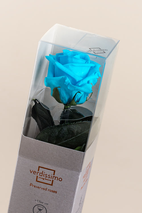 Amorosa Mini Gift Box - Pack 25 u.