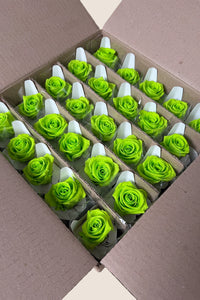 Lime Green