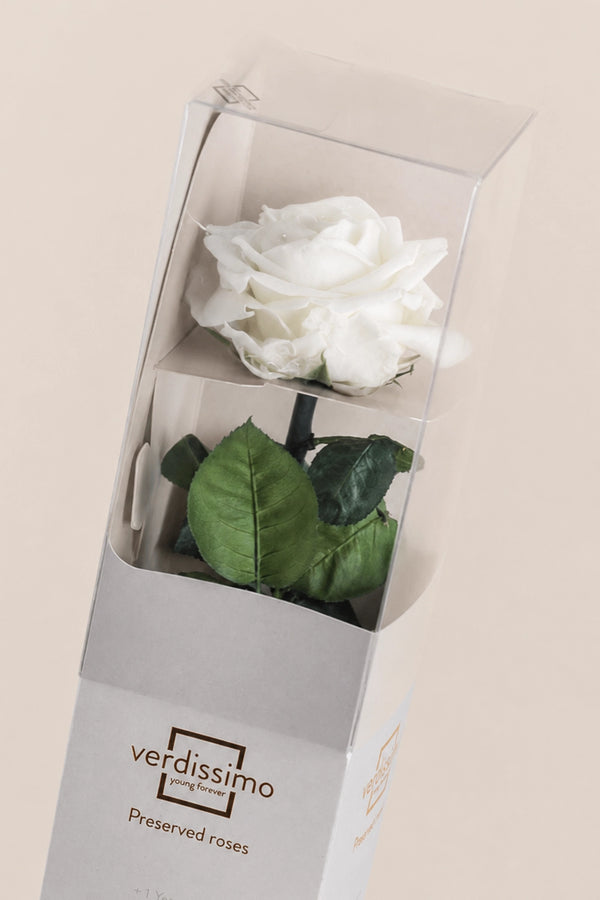 Coffret Cadeau Premium Amorosa - Pack de 12 u.