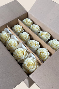 Vanilla Cream