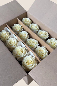 Crème Vanille