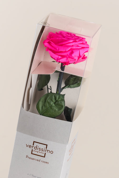 Amorosa Premium Gift Box - Pack 12 u.