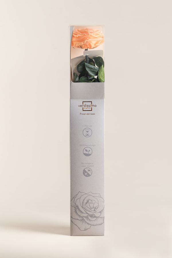 Coffret Cadeau Premium Amorosa - Pack de 12 u.