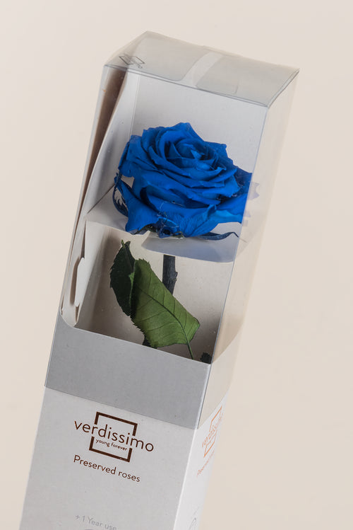 Amorosa Premium-Geschenkbox – Pack mit 12 Stk.