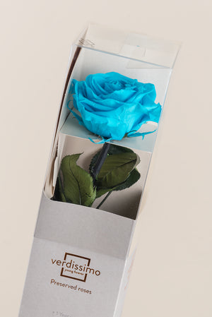 Turquoise vif