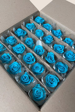 Bright Turquoise