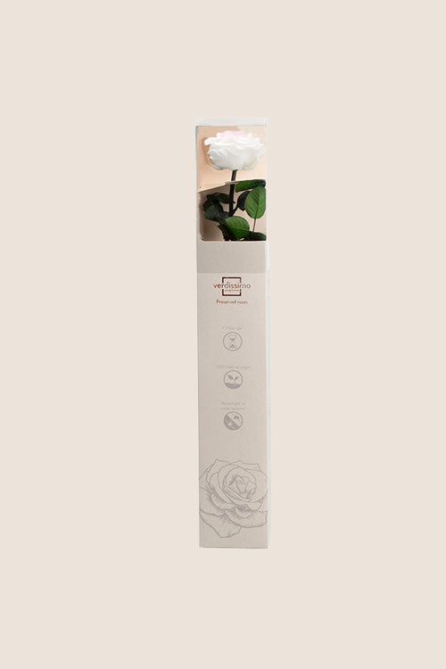 Amorosa Premium Gift Box - Pack 12 u.