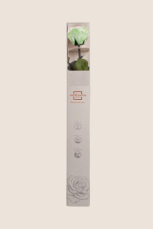 Blanc / Rose pastel / Vert pastel