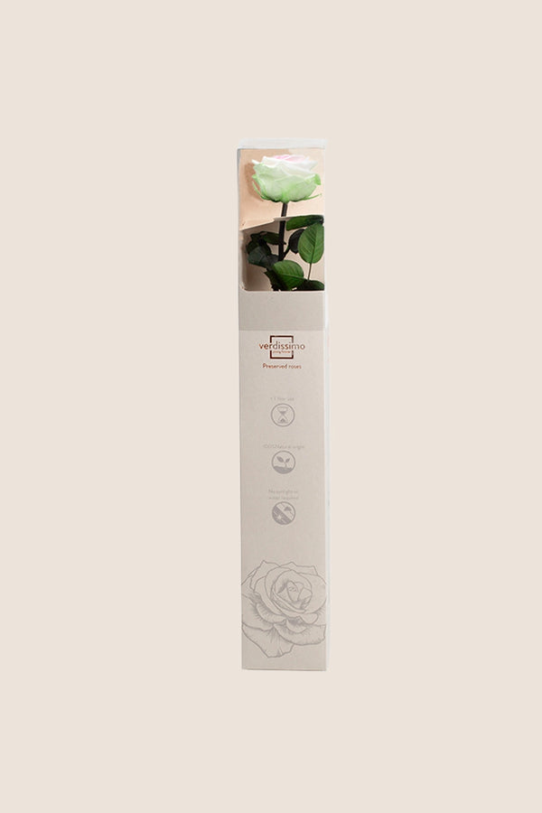 Coffret Cadeau Premium Amorosa - Pack de 12 u.