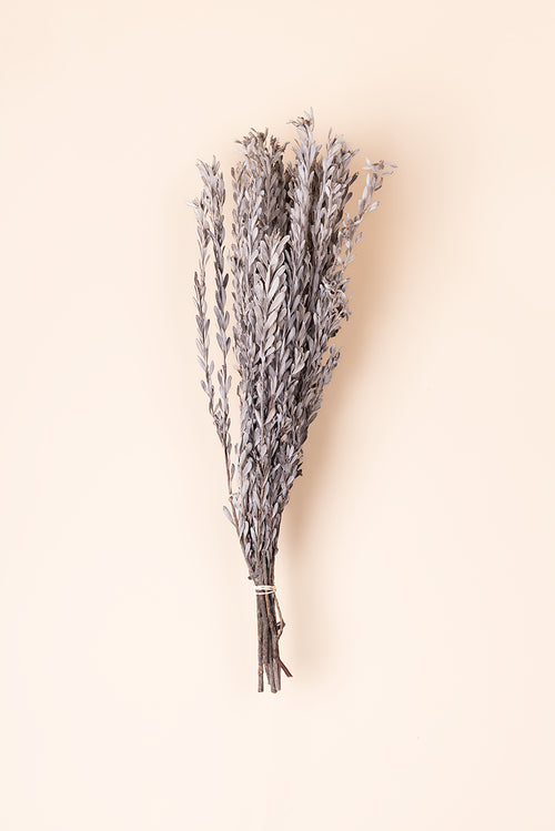 Pubescens