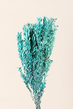 Mint Pastel