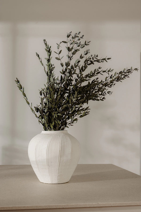 Parvifolia bulk