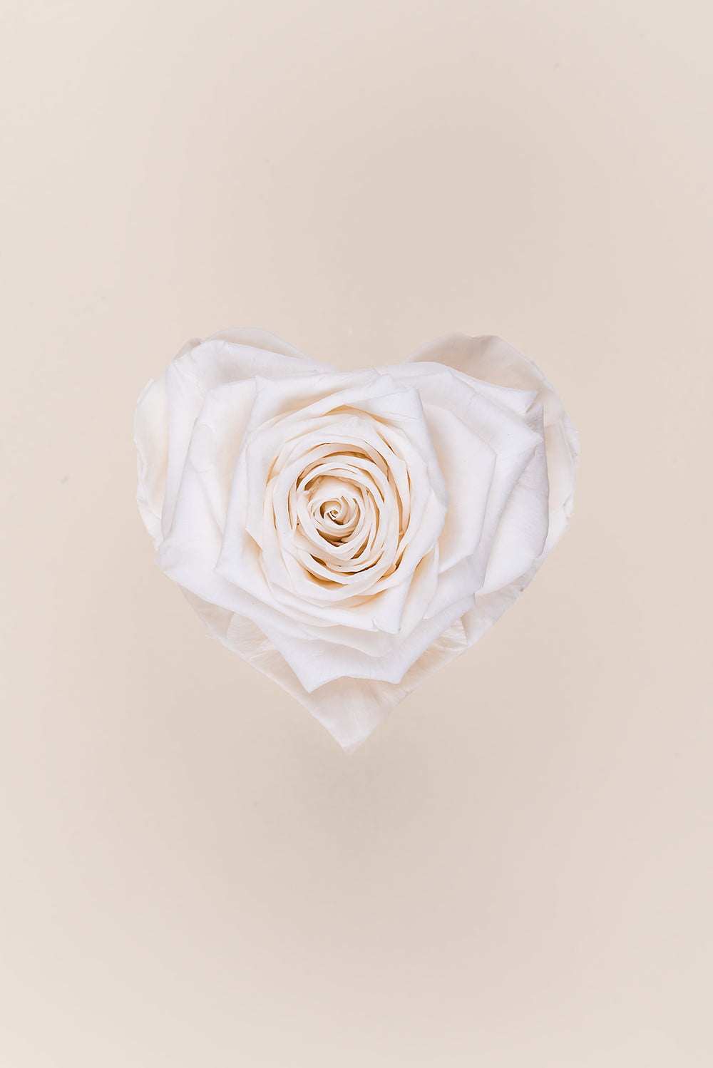 Rose Heart Small - Box 1 head