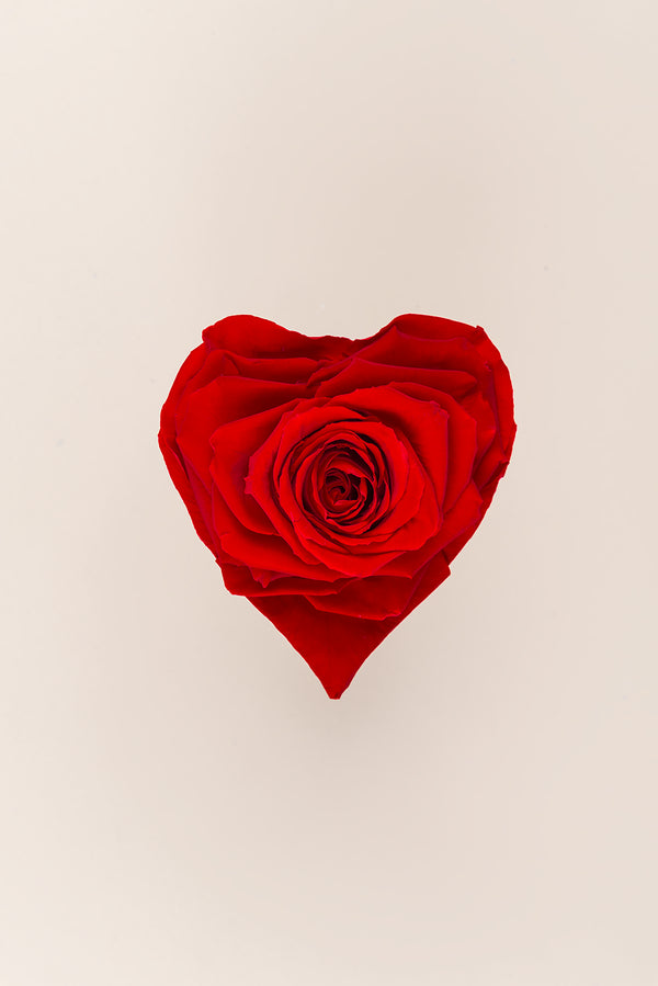 Rose Heart Small - Box 1 head