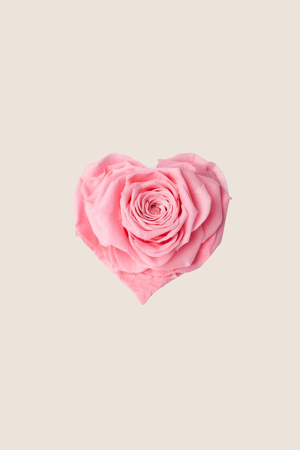 Rose Heart Small - Box 1 head
