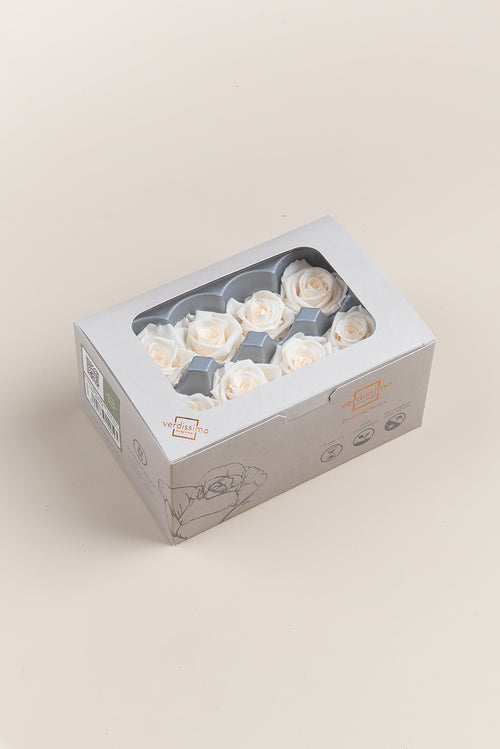 Rose Medium - Box 8 heads