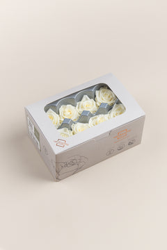 Crème Vanille
