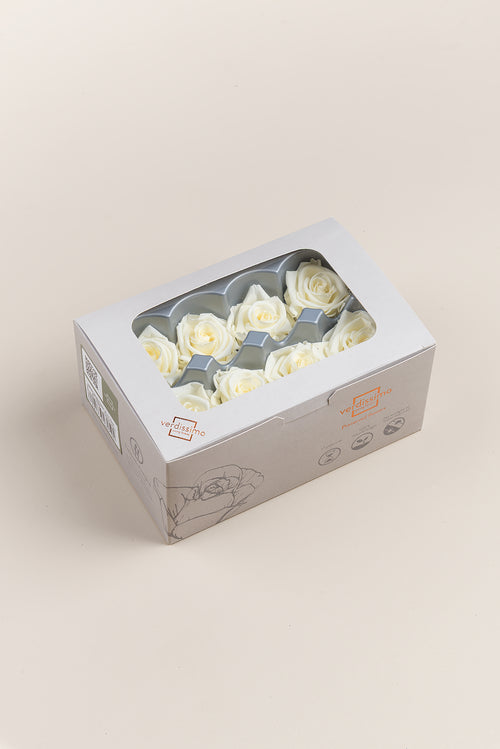 Rosa Mediana - Caja de 8 cabezas