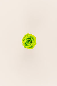 Lime Green