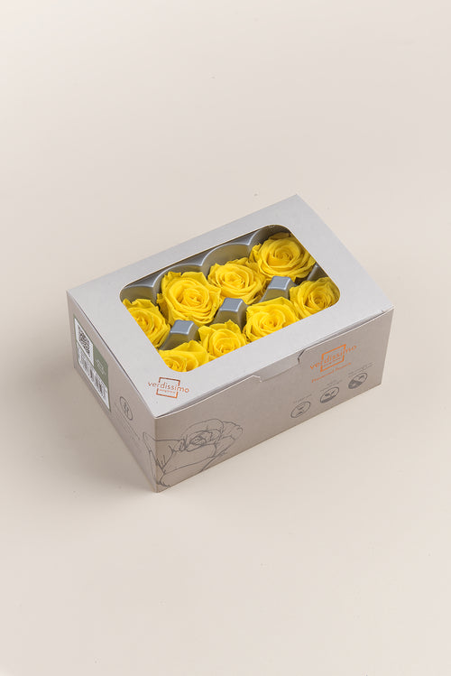 Rose Medium - Box 8 heads