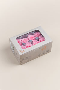 Pastel Pink