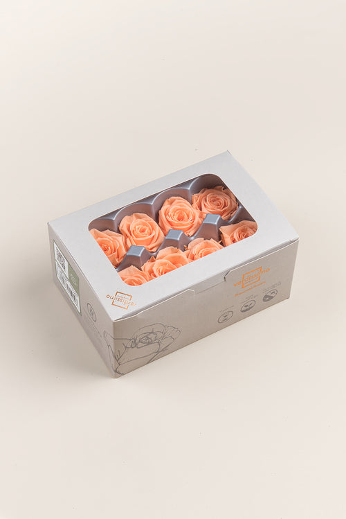 Rose Medium - Box 8 heads