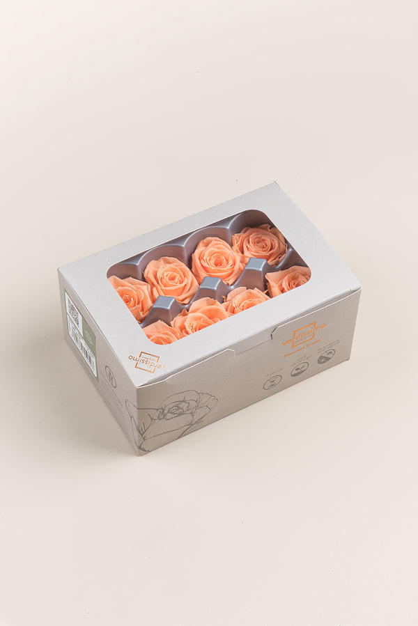 Rose Medium - Boîte 8 têtes