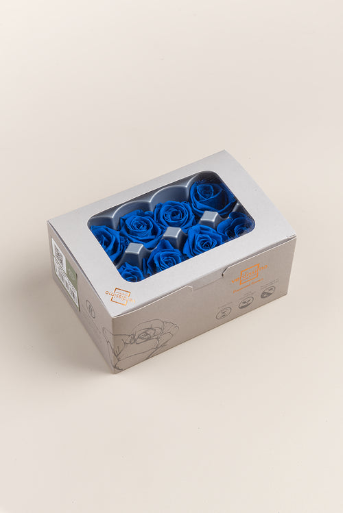 Rose Medium - Box 8 Köpfe