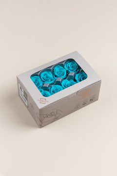 Turquoise vif