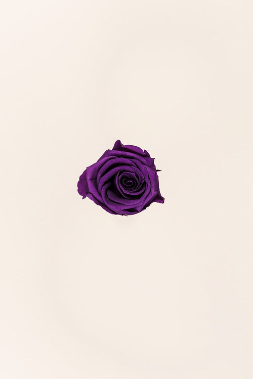 Rose Medium Bulk - Pack 192 u.