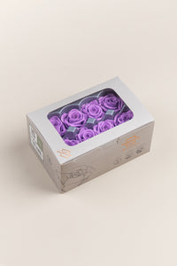 Bright Lilac