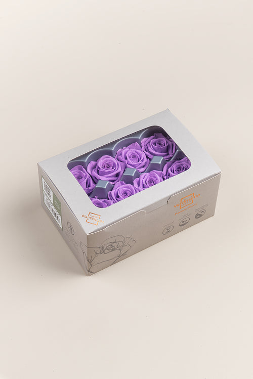 Rose Medium - Box 8 Köpfe