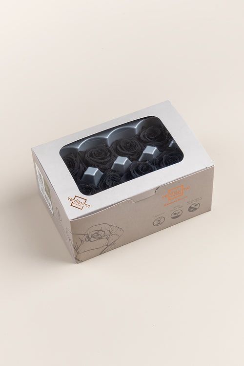 Rose Medium - Box 8 Köpfe