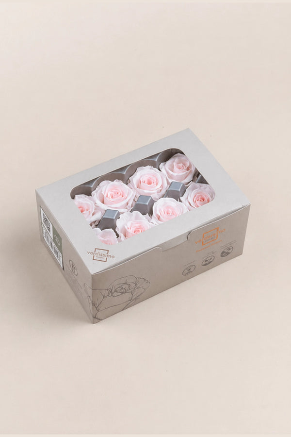 Rose Medium - Boîte 8 têtes