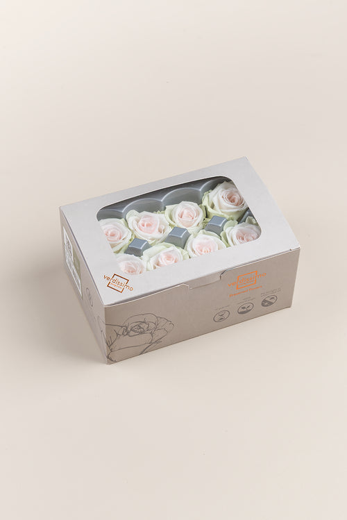 Rose Medium - Box 8 heads