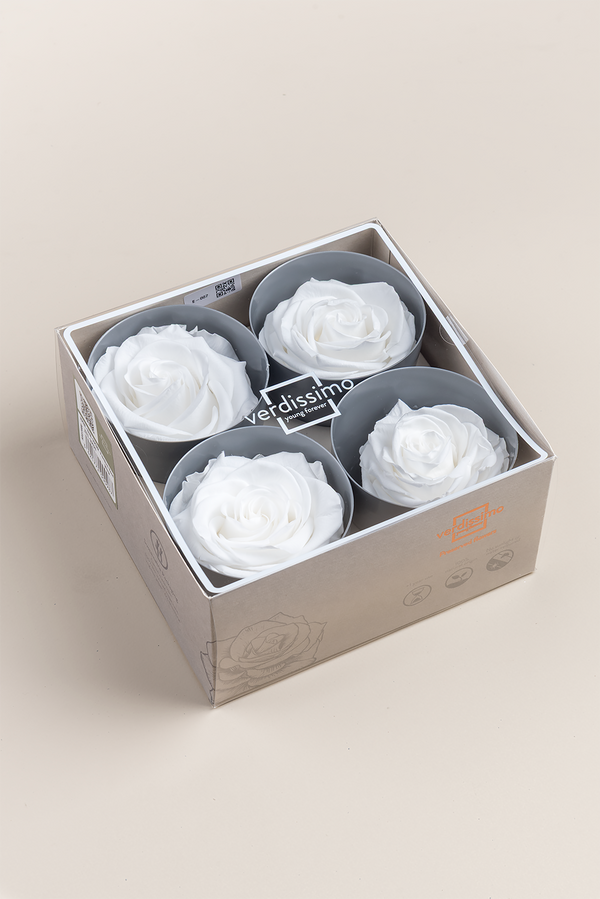 Rose Premium - Box 4 heads