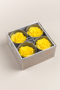 Bright Yellow