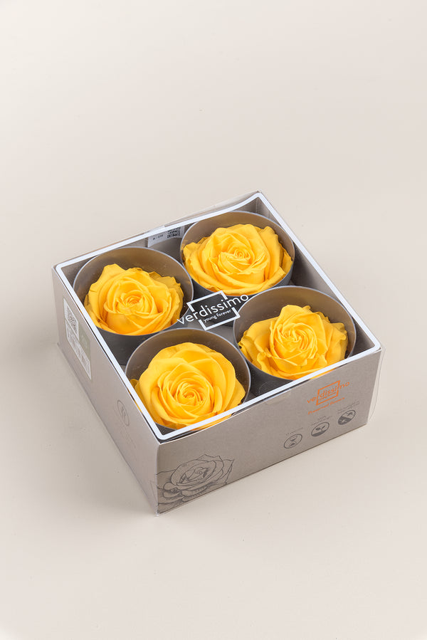 Rose Premium - Box 4 heads