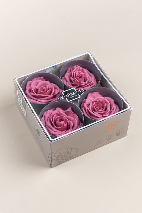 Rose Premium - Box 4 heads